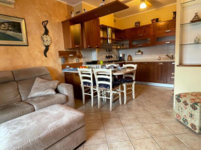 Mandi House by Holiday World